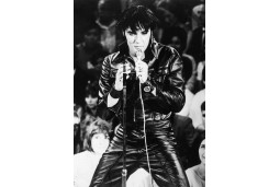 Elvis Presley #5